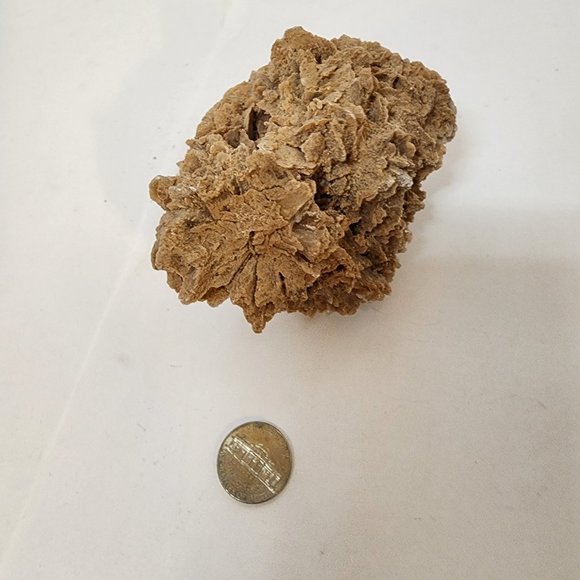 Desert Rose gypsum - Large chunk raw from Roswell New Mexico 4x3x3 - Picture 3 of 9